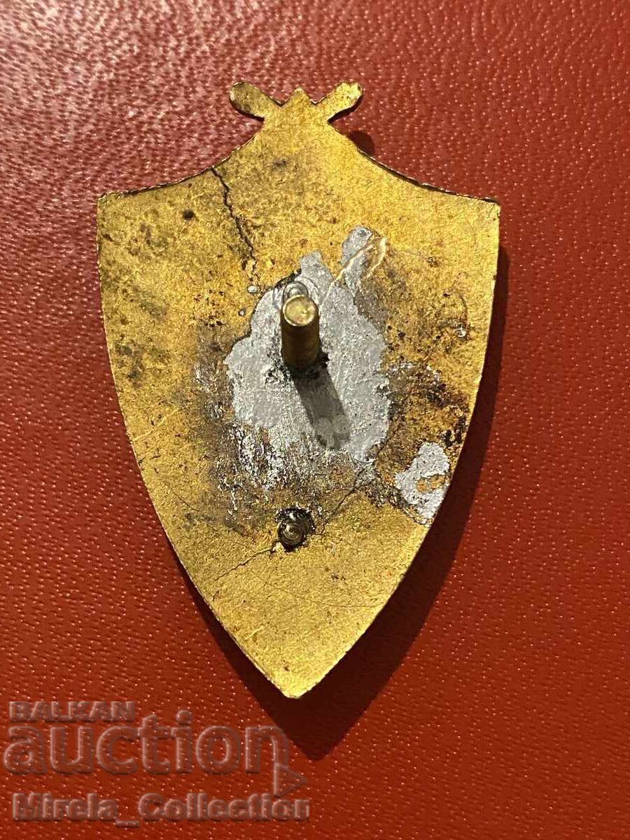 Delivery of Bulgarian Royal Breastplate Yunak Gymnastics Society Delivery of Bulgarian Royal Breastplate Yunak Gymnastics Society