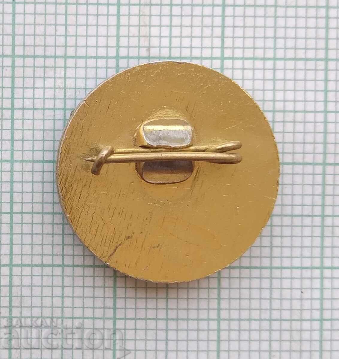 Auction  18478 Badge