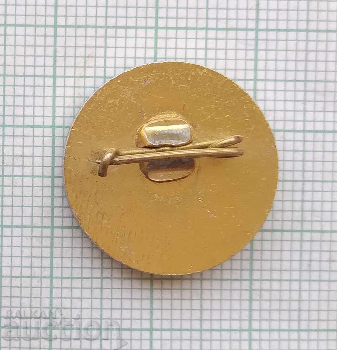 Auction  18479 Badge