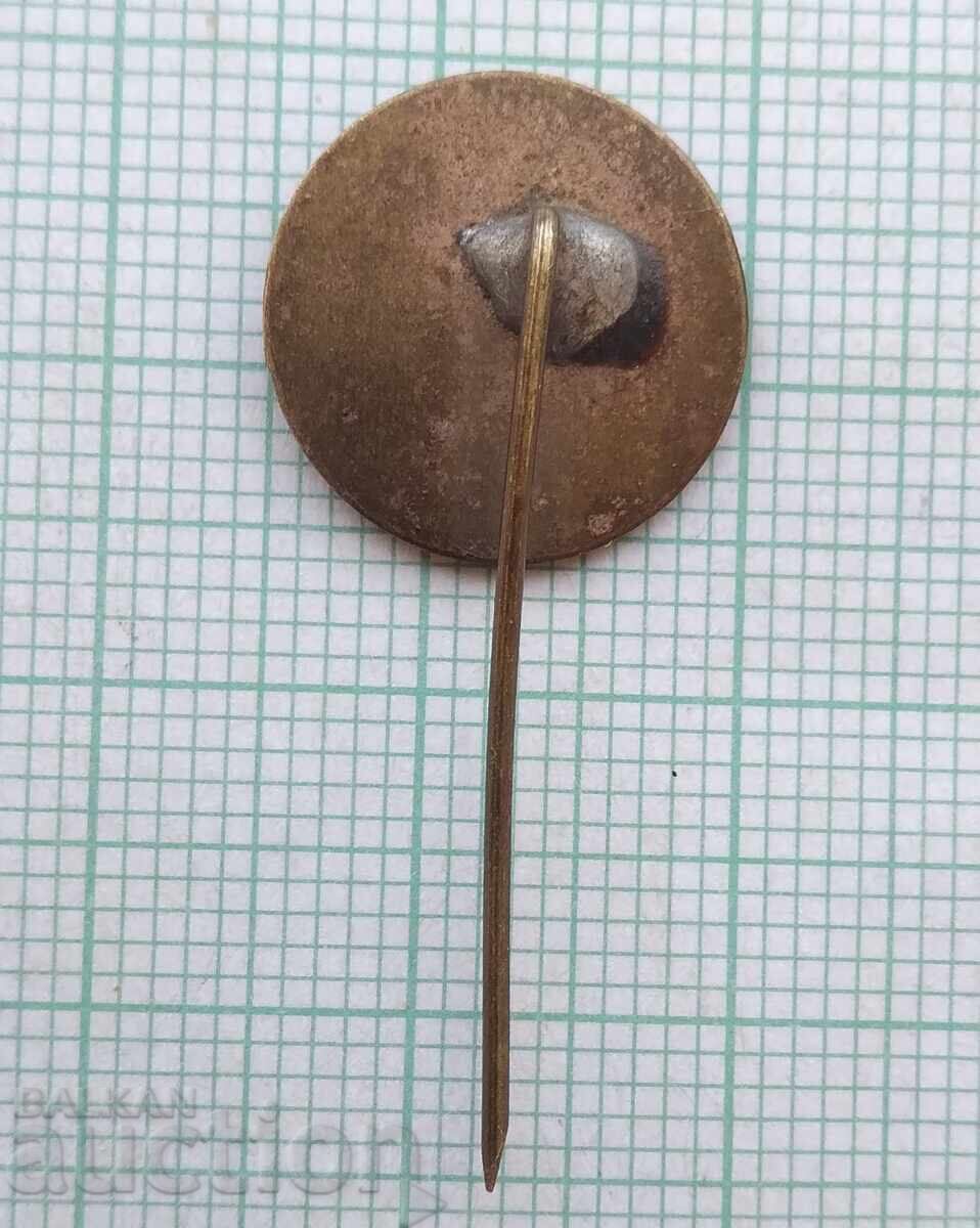 Auction  18483 Badge - TNTM Stara Zagora