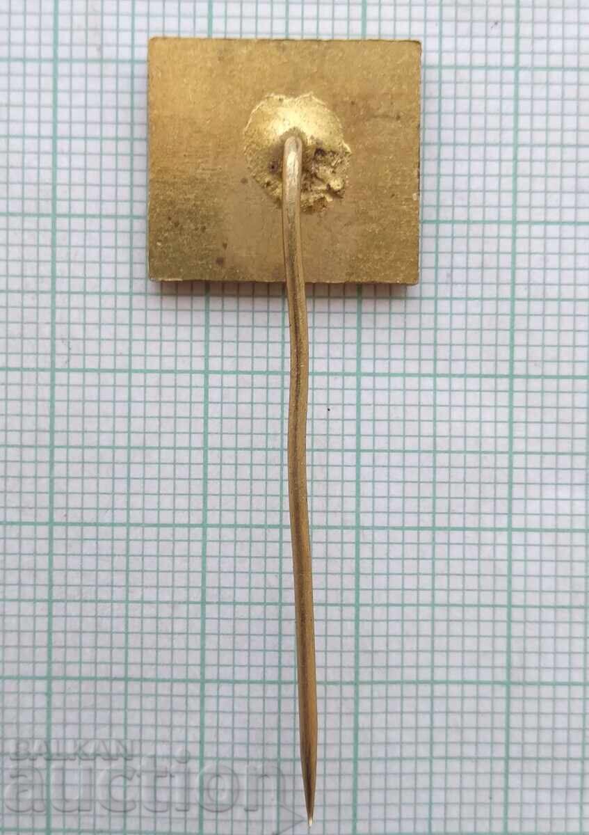 Auction 18487 Badge - 75 years of Skoda Auction 18487 Badge - 75 years of Skoda