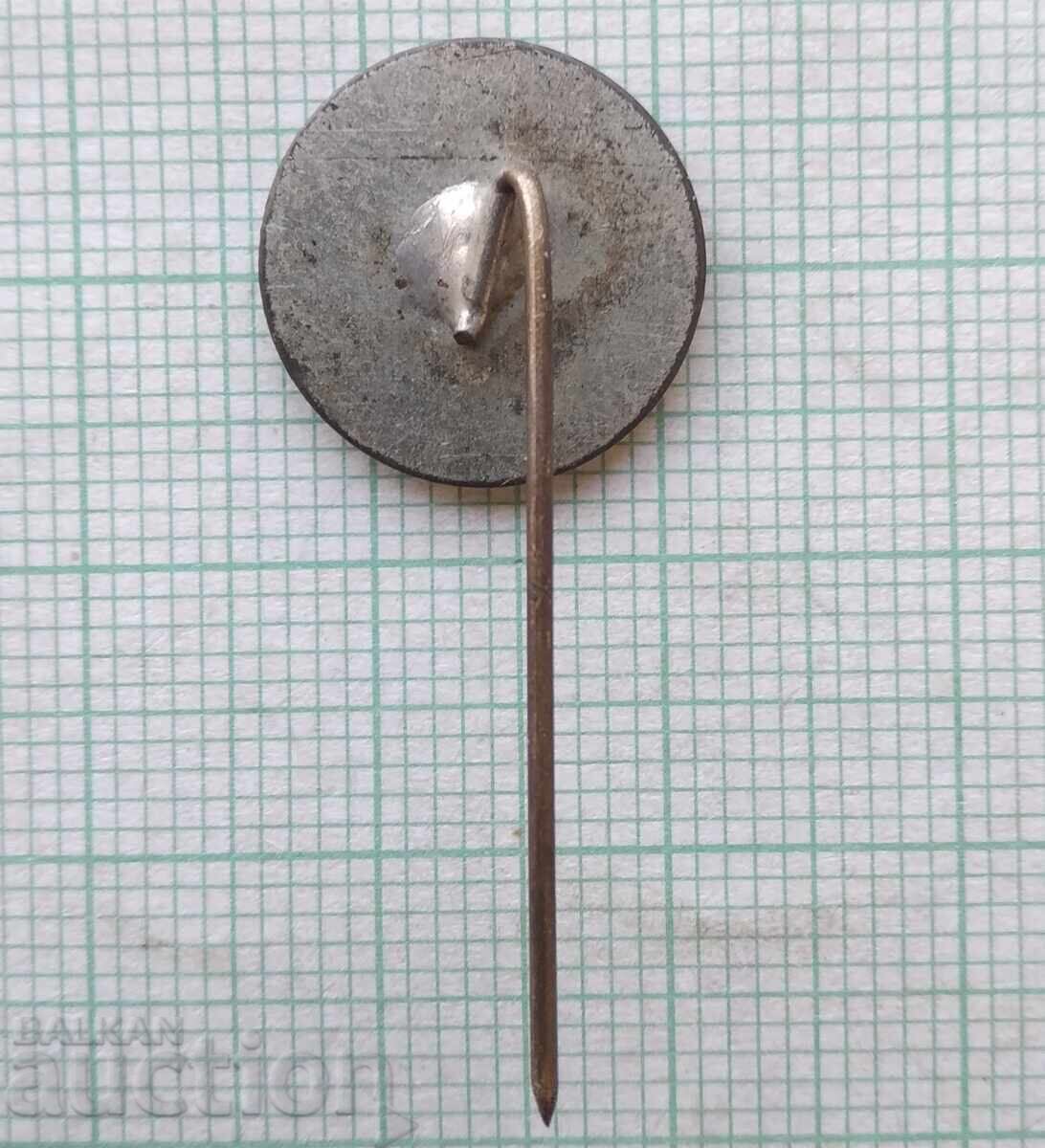 Auction 18511 Badge - TNTM Peshtera Auction 18511 Badge - TNTM Peshtera