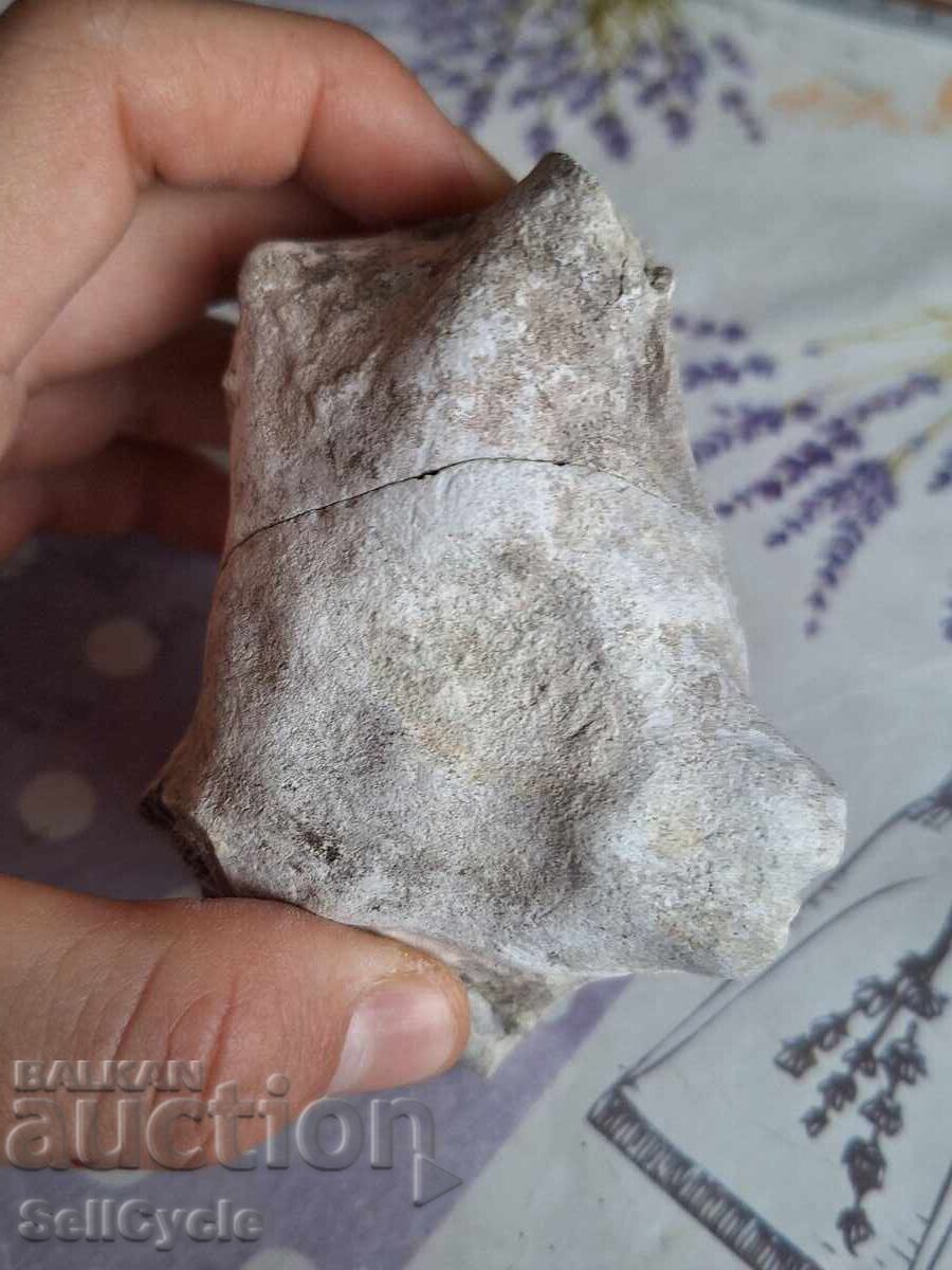 ✅CRISTAL AGATIZAT❗ cu preț 4.00 BGN | € 2.05 ✅CRISTAL AGATIZAT❗ cu preț 4.00 BGN | € 2.05