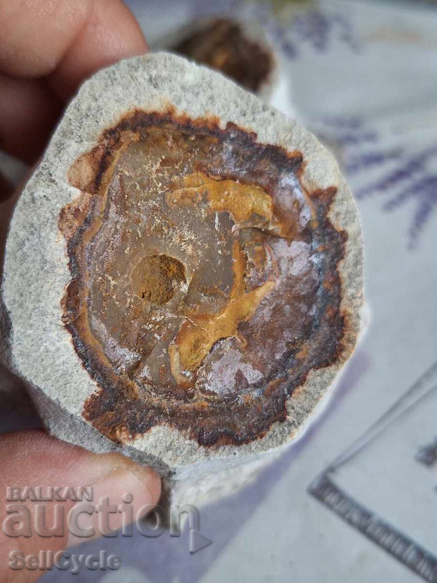 Livrarea ✅CRISTAL AGATIZAT❗ Livrarea ✅CRISTAL AGATIZAT❗