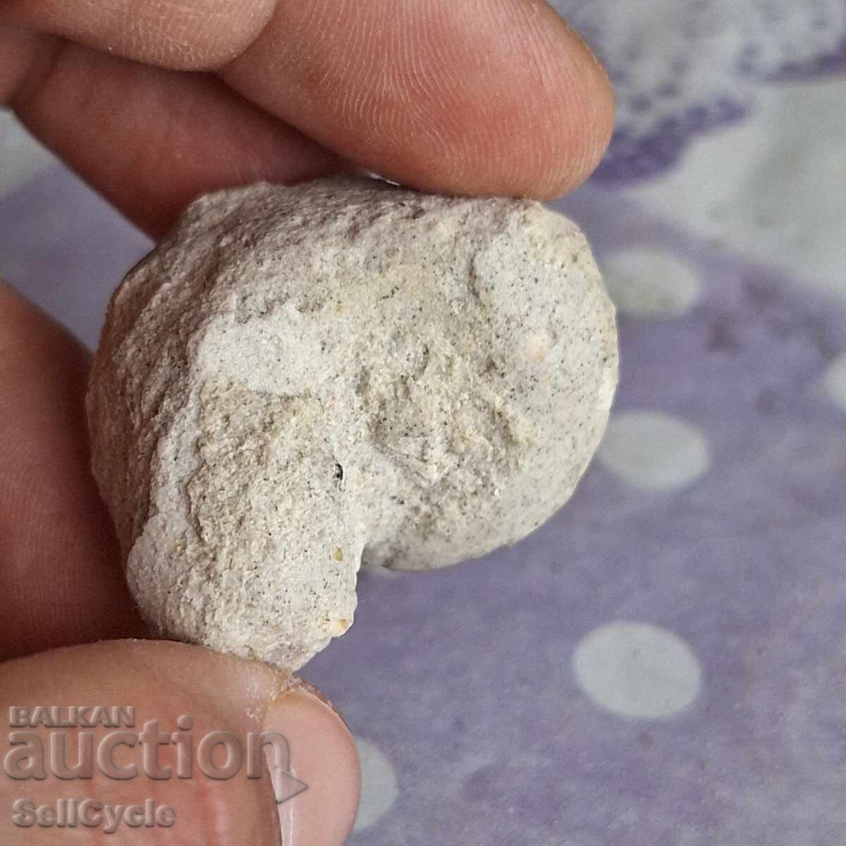 Δημοπρασία ✅ ΑΠΟΛΥΘΩΜΑ | ΣΑΛΙΓΚΙ ΤΗΣ ΘΑΛΑΣΣΙΑΣ❗ Δημοπρασία ✅ ΑΠΟΛΥΘΩΜΑ | ΣΑΛΙΓΚΙ ΤΗΣ ΘΑΛΑΣΣΙΑΣ❗