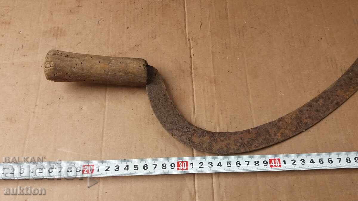 Secera renasterii - 5