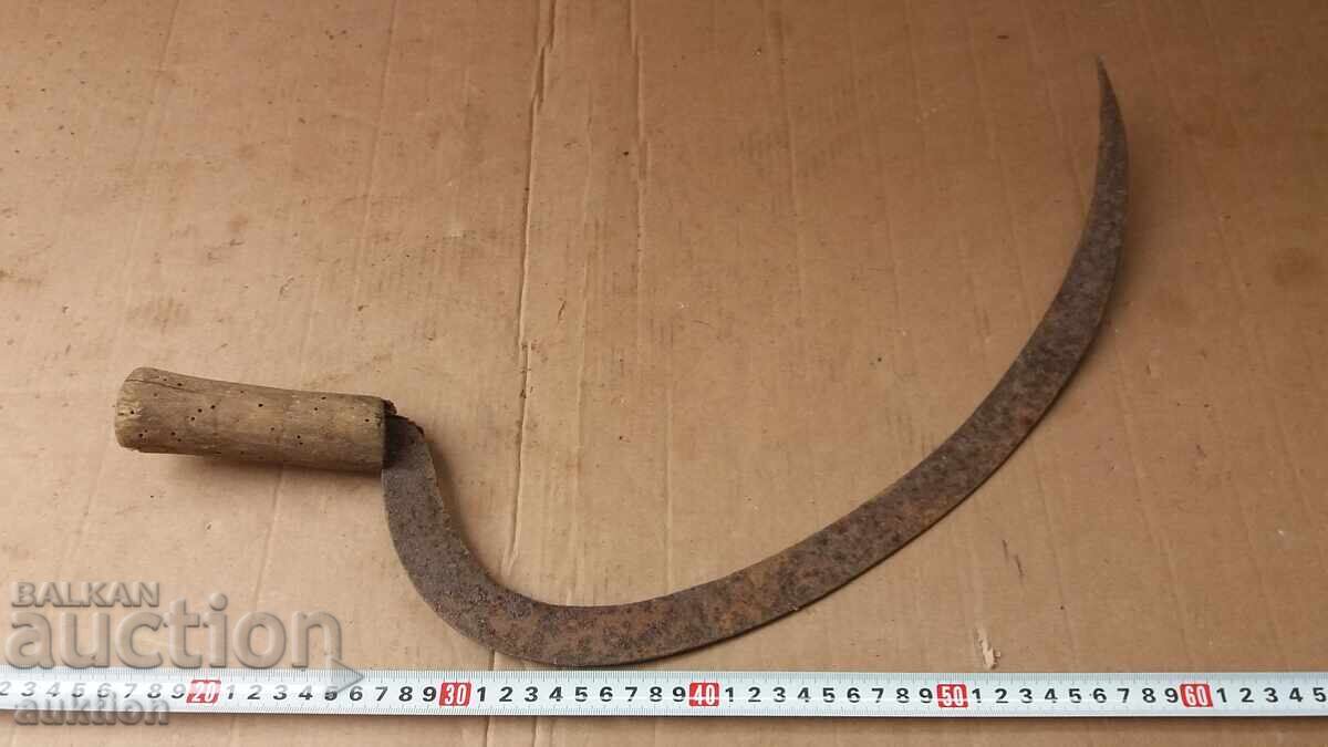 Secera renasterii - 6