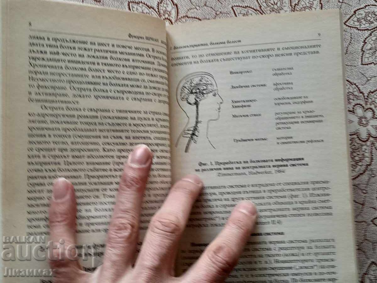 Auction The Pain - Friedrich Strian Auction The Pain - Friedrich Strian