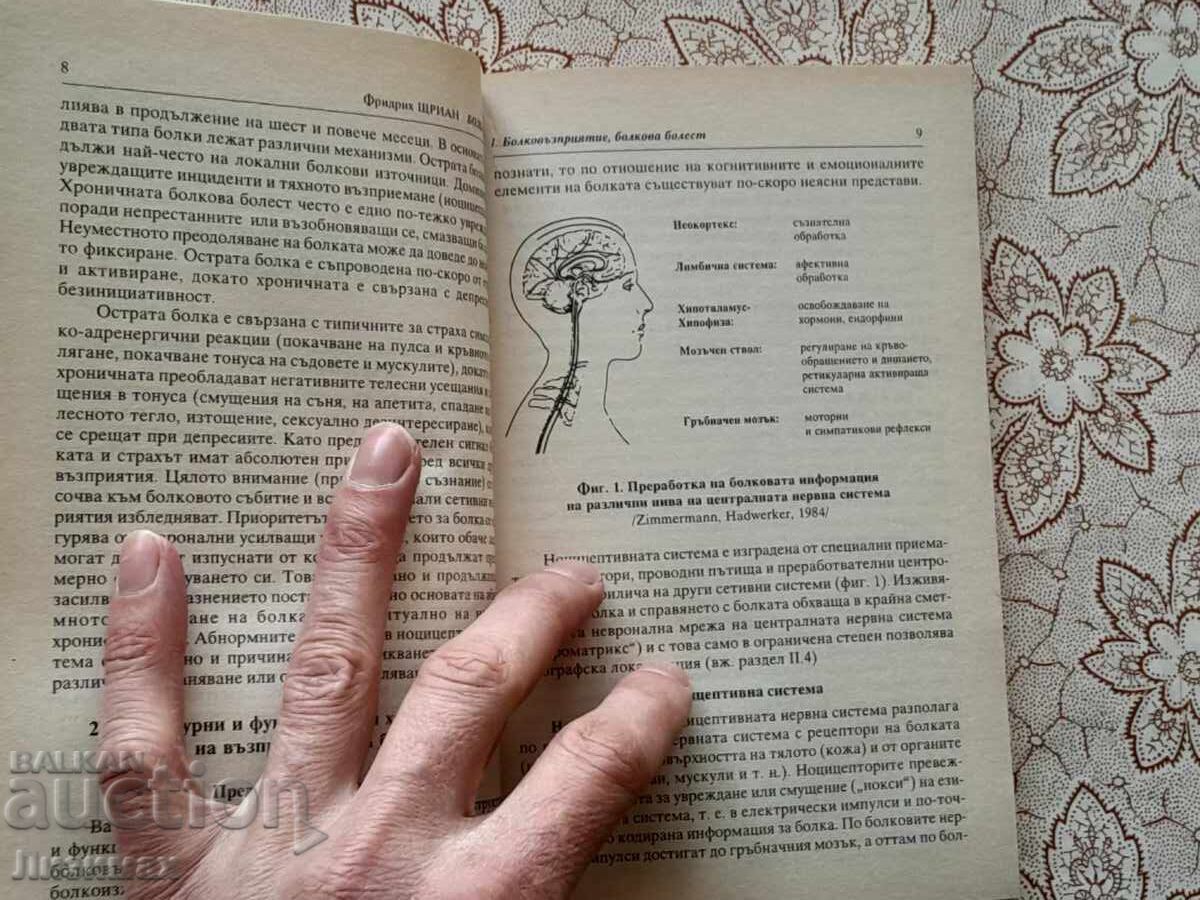 Delivery of The Pain - Friedrich Strian Delivery of The Pain - Friedrich Strian