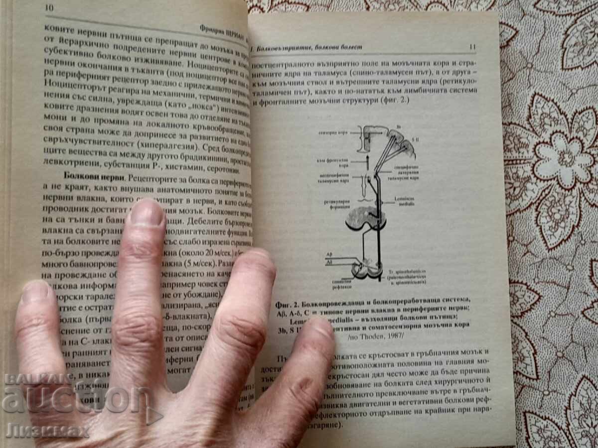 The Pain - Friedrich Strian - 5 The Pain - Friedrich Strian - 5