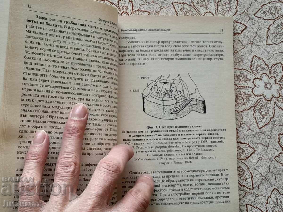 The Pain - Friedrich Strian - 6 The Pain - Friedrich Strian - 6