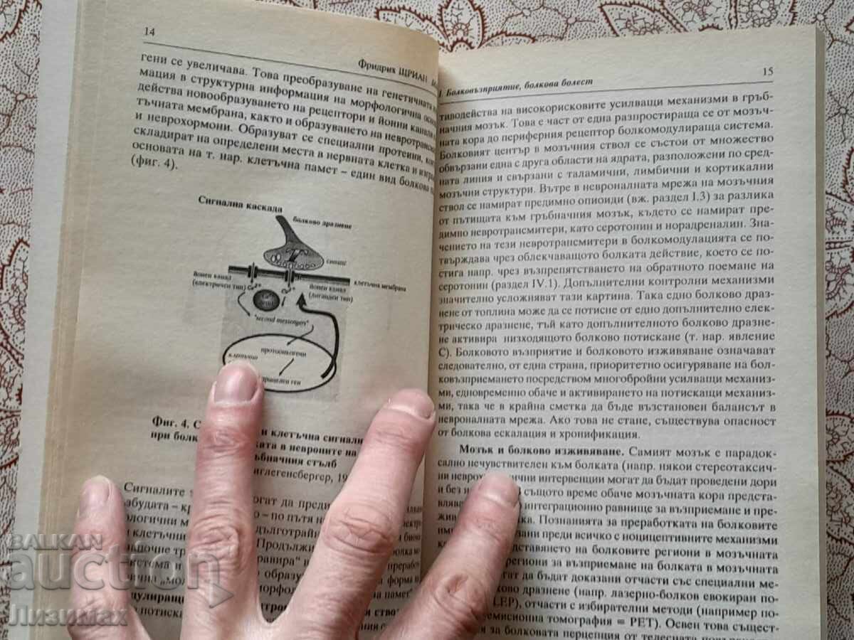 The Pain - Friedrich Strian - 7 The Pain - Friedrich Strian - 7