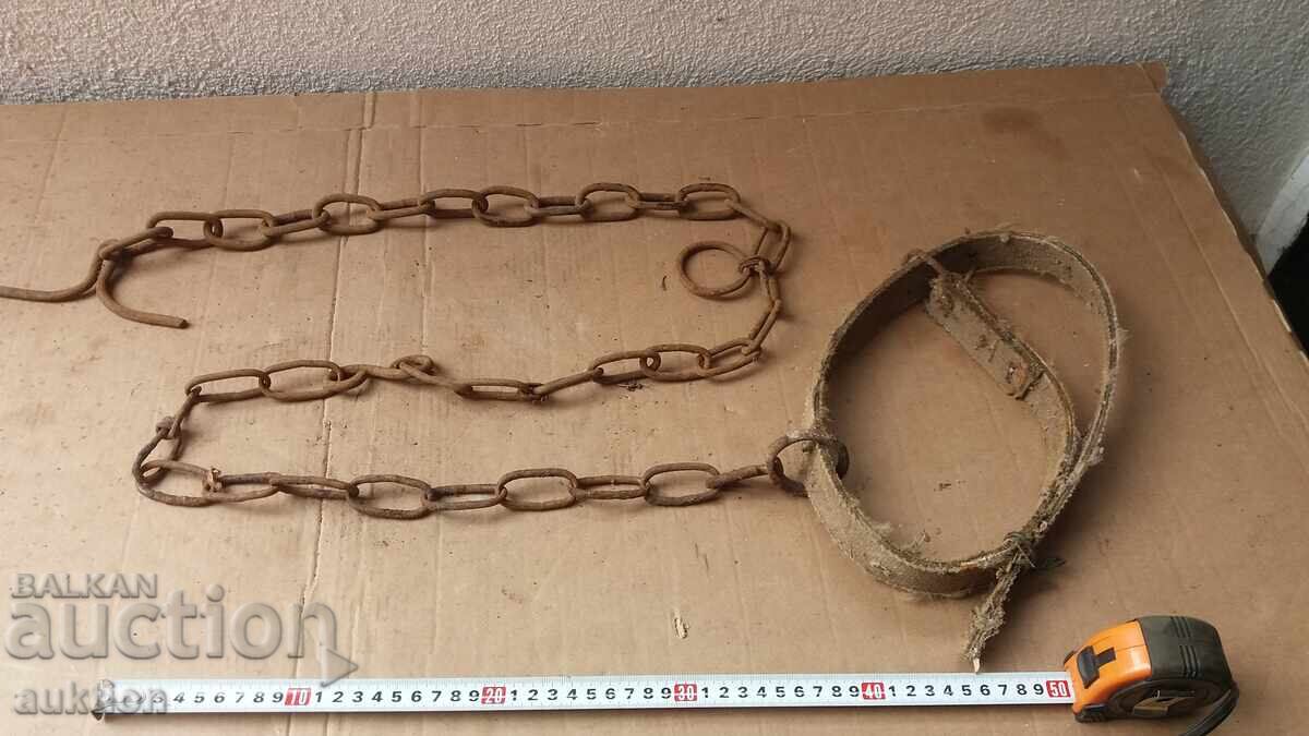 ΑΛΥΣΙΔΑ, ΜΟΛΥΒΑΡΙ ΖΩΟΥ ΑΛΥΣΙΔΑ, ΜΟΛΥΒΑΡΙ ΖΩΟΥ