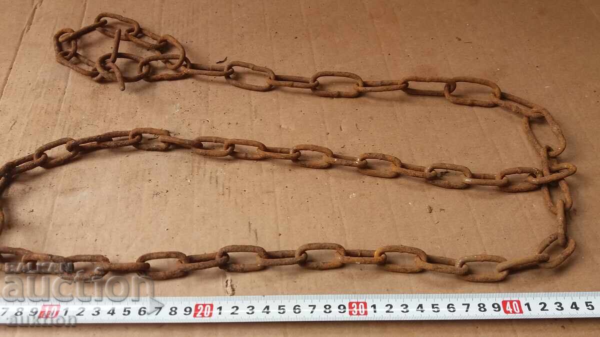 ANIMAL CHAIN - OCCASION - 5 ANIMAL CHAIN - OCCASION - 5