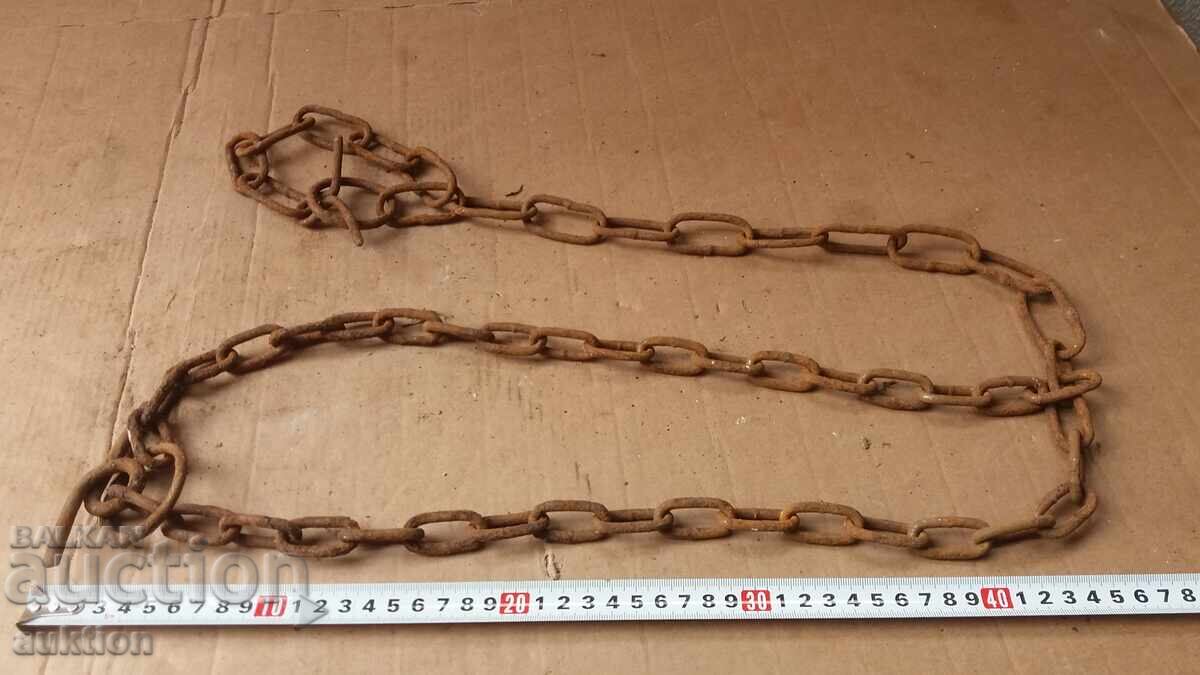 ANIMAL CHAIN - OCCASION - 7 ANIMAL CHAIN - OCCASION - 7