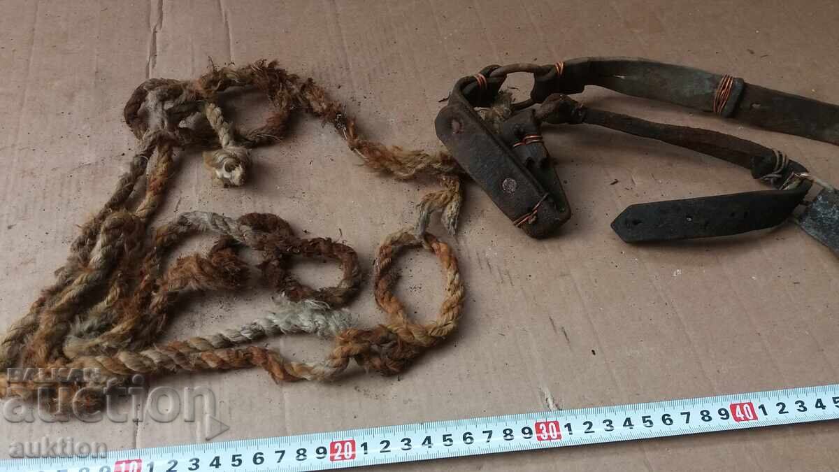 Auction OLD REASON FOR ANIMALS Auction OLD REASON FOR ANIMALS