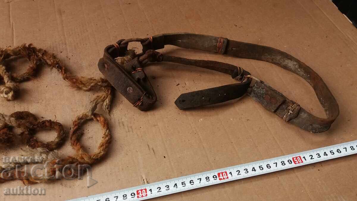 Delivery of OLD REASON FOR ANIMALS Delivery of OLD REASON FOR ANIMALS