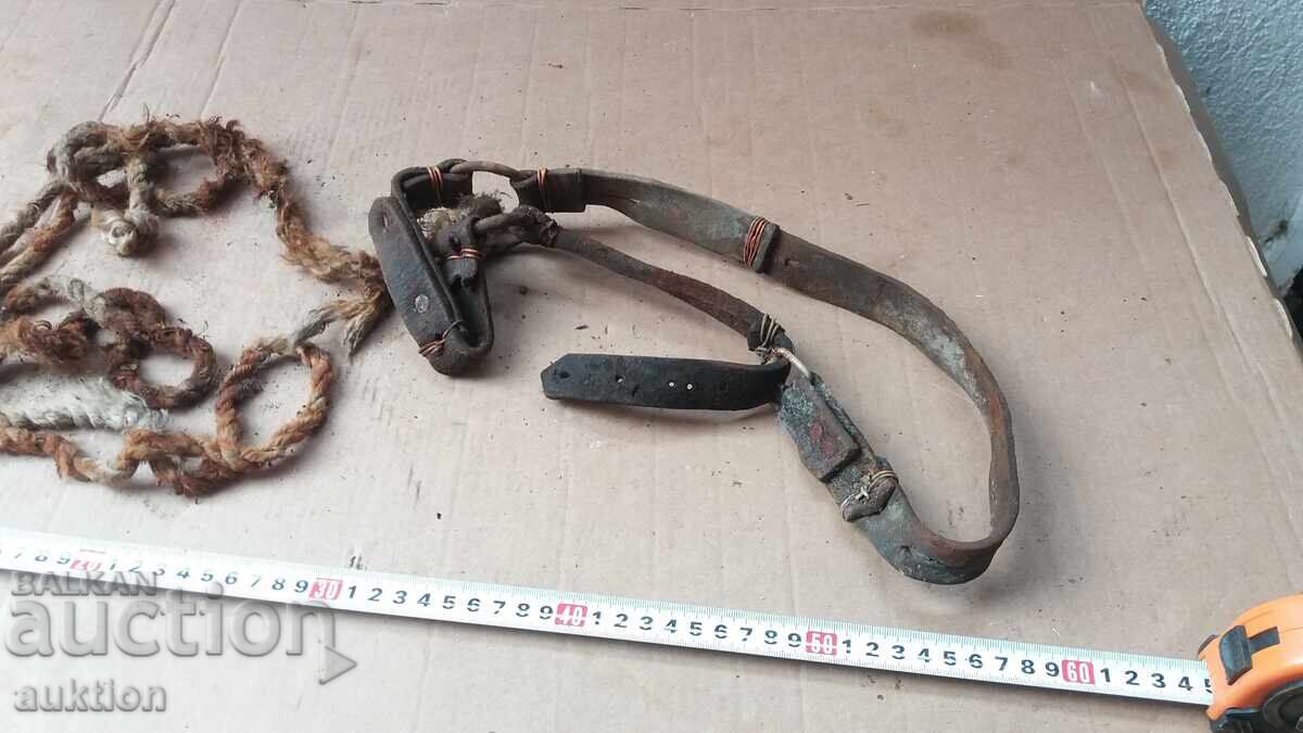 OLD REASON FOR ANIMALS - 5 OLD REASON FOR ANIMALS - 5