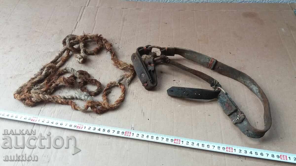 OLD REASON FOR ANIMALS - 6 OLD REASON FOR ANIMALS - 6