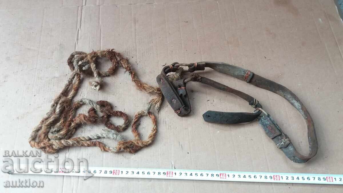 OLD REASON FOR ANIMALS - 7 OLD REASON FOR ANIMALS - 7