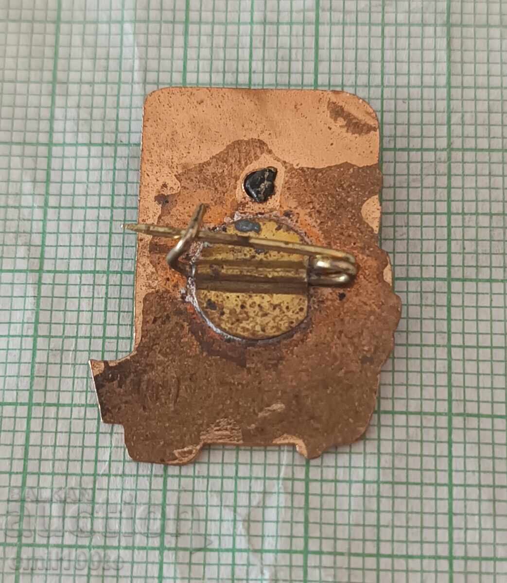 Delivery of Badge - Hristo Botev DKMS Delivery of Badge - Hristo Botev DKMS