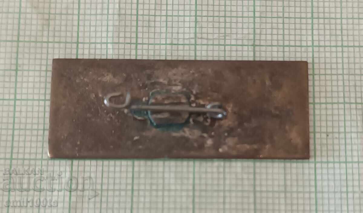 Delivery of Badge - Varna Bulgarian Feature Film Festival Delivery of Badge - Varna Bulgarian Feature Film Festival