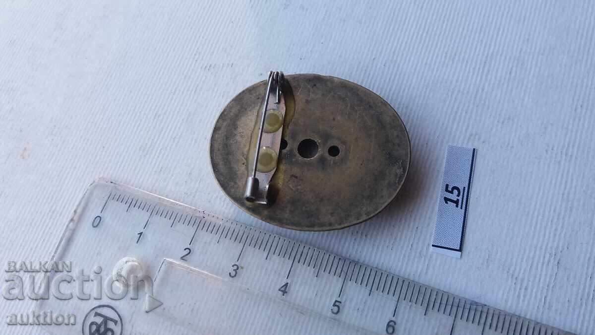 Delivery of BROOCH - CAMEO