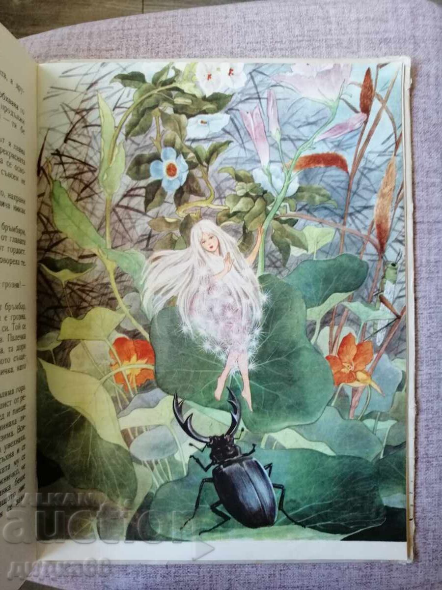 Auction  The Snow Queen and Other Fairy Tales / Andersen 1961.