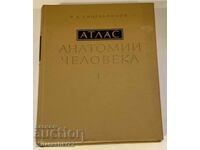 СССР АТЛАС АНАТОМИИ ЧЕЛОВЕКА ТОМ 1 1978Г.