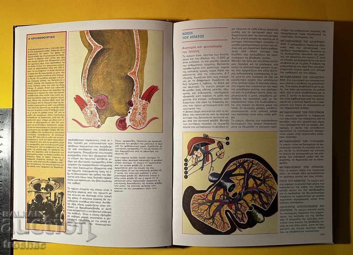 Old Book General Medicine and Surgery Guide to Hygiene - 6 Old Book General Medicine and Surgery Guide to Hygiene - 6