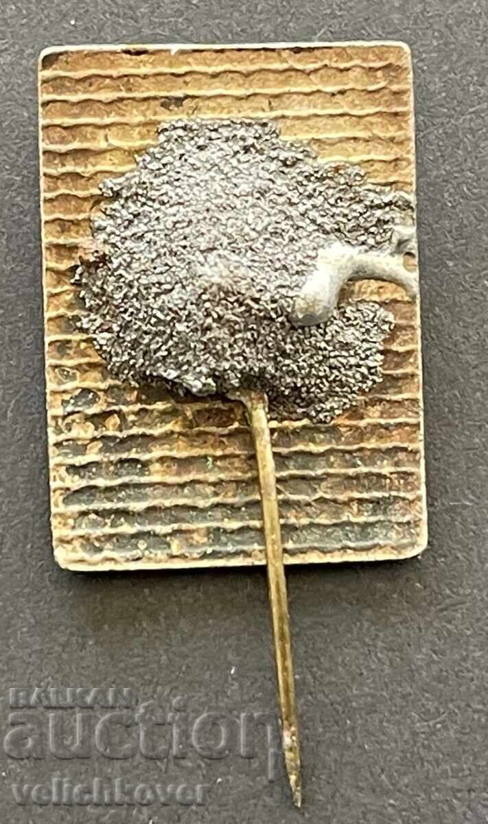 40354 Βουλγαρία πινακίδα με την εικόνα του Γκεόργκι Ντιμιτρόφ σμάλτο με τιμή 5.00 BGN | € 2.56 40354 Βουλγαρία πινακίδα με την εικόνα του Γκεόργκι Ντιμιτρόφ σμάλτο με τιμή 5.00 BGN | € 2.56