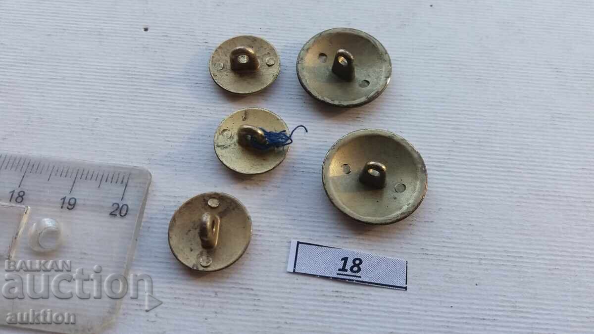 navy buttons - 5 navy buttons - 5