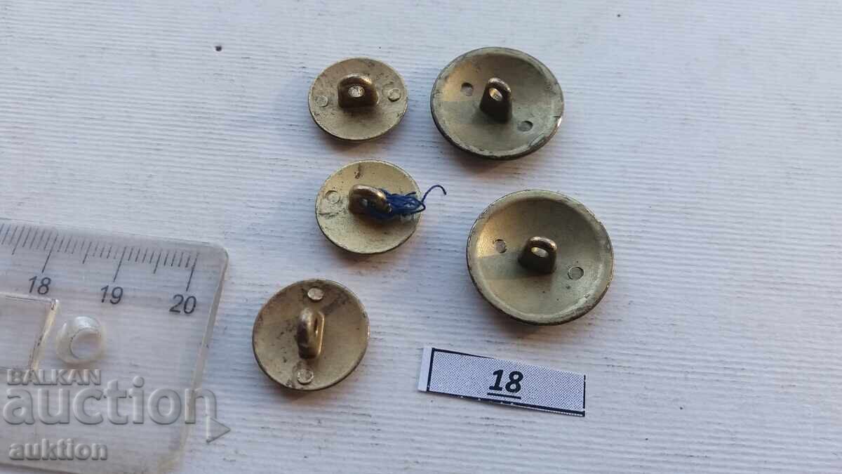 navy buttons - 6 navy buttons - 6