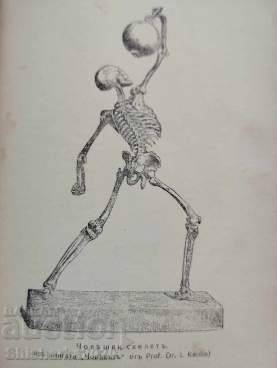 Licitație Există dovezi pentru existența lui Dumnezeu?