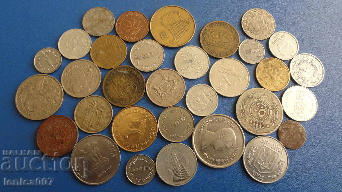 Auction Coins (30 pieces) Auction Coins (30 pieces)