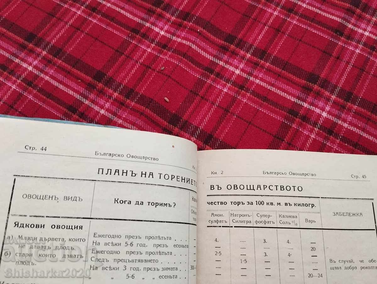 Convolute! Folk Celery/Fruit Growing/Youth Reading - 7