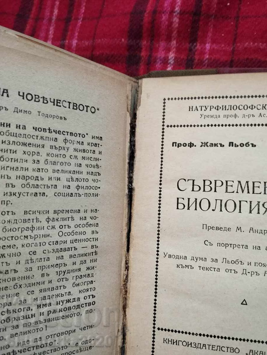 Convolute! The Queen of the World and Her Shadow... - 5 Convolute! The Queen of the World and Her Shadow... - 5