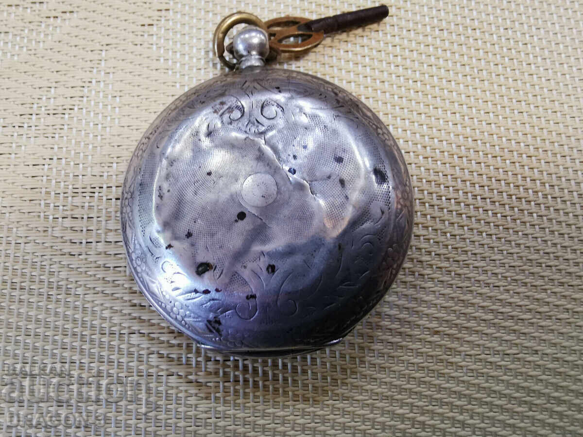 Delivery of SILVER TURKEY LES BRENETS