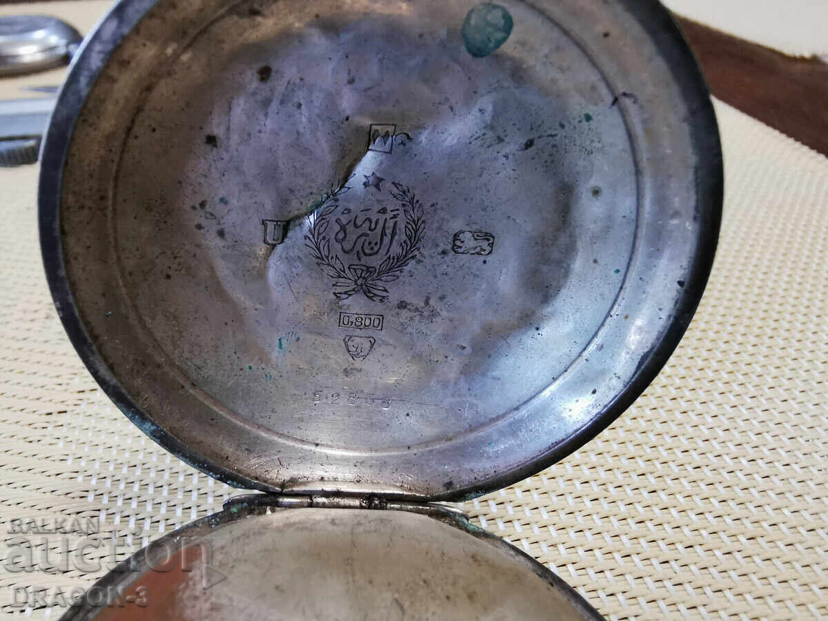 SILVER TURKEY LES BRENETS - 5