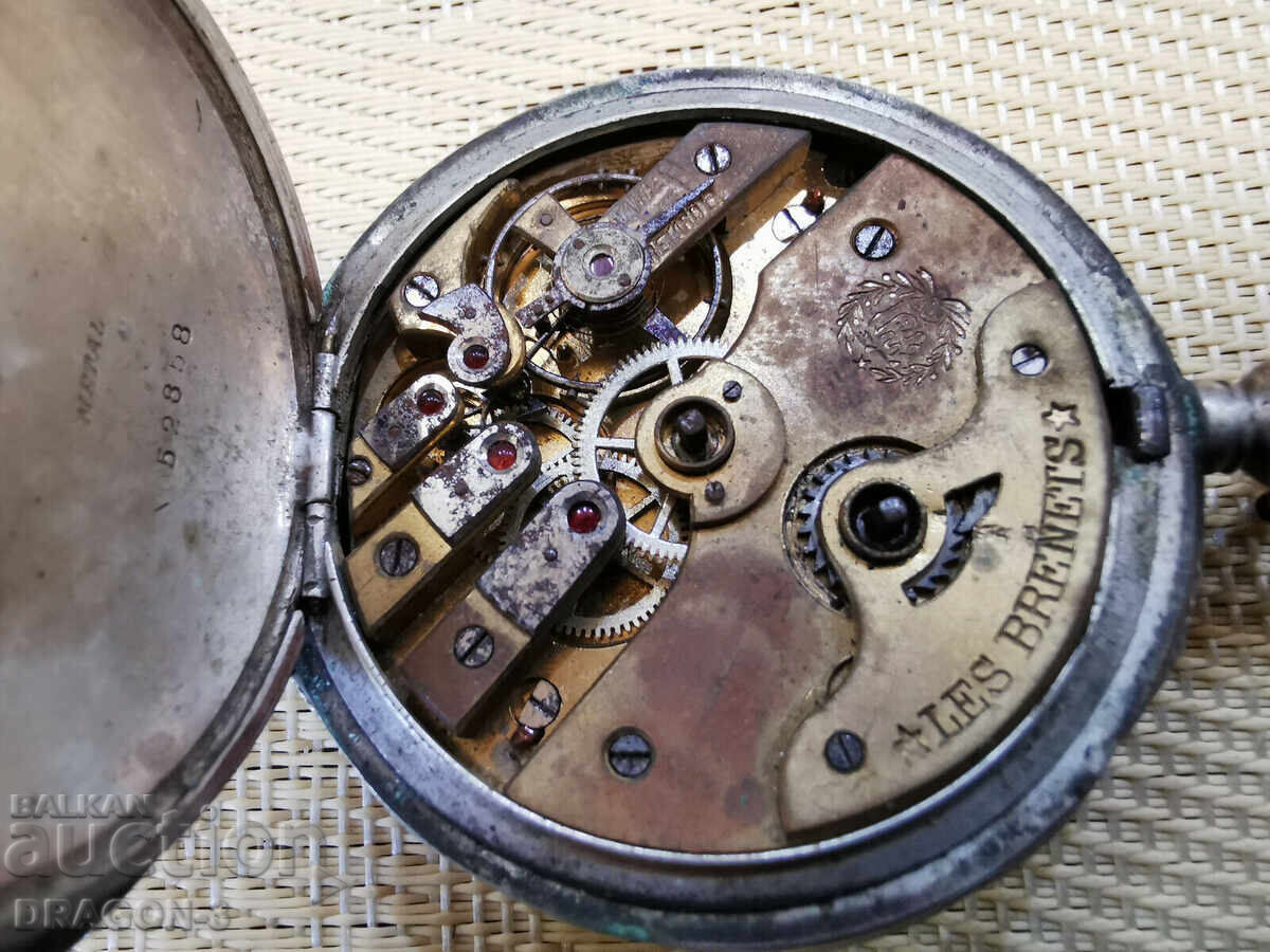 SILVER TURKEY LES BRENETS - 6