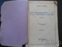 Изъ африканските пустини и лесове, Хенрихъ Сенкевичъ