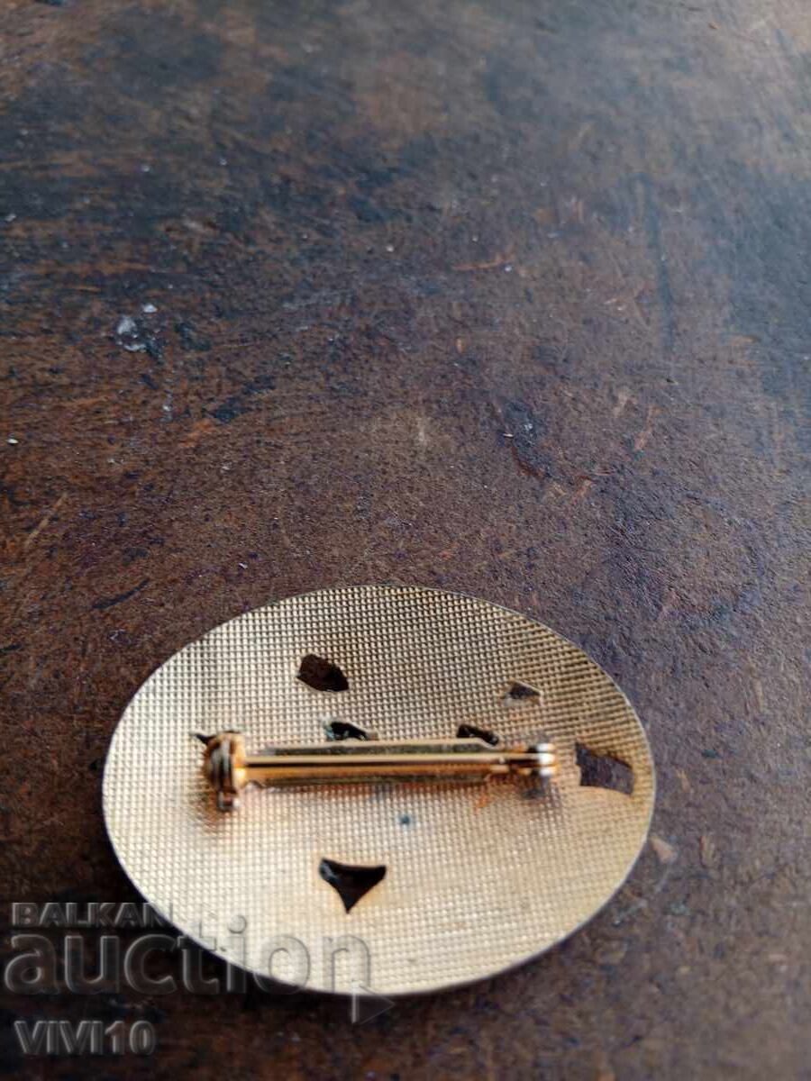 Аукцион Старинна брошка емаил клазоне