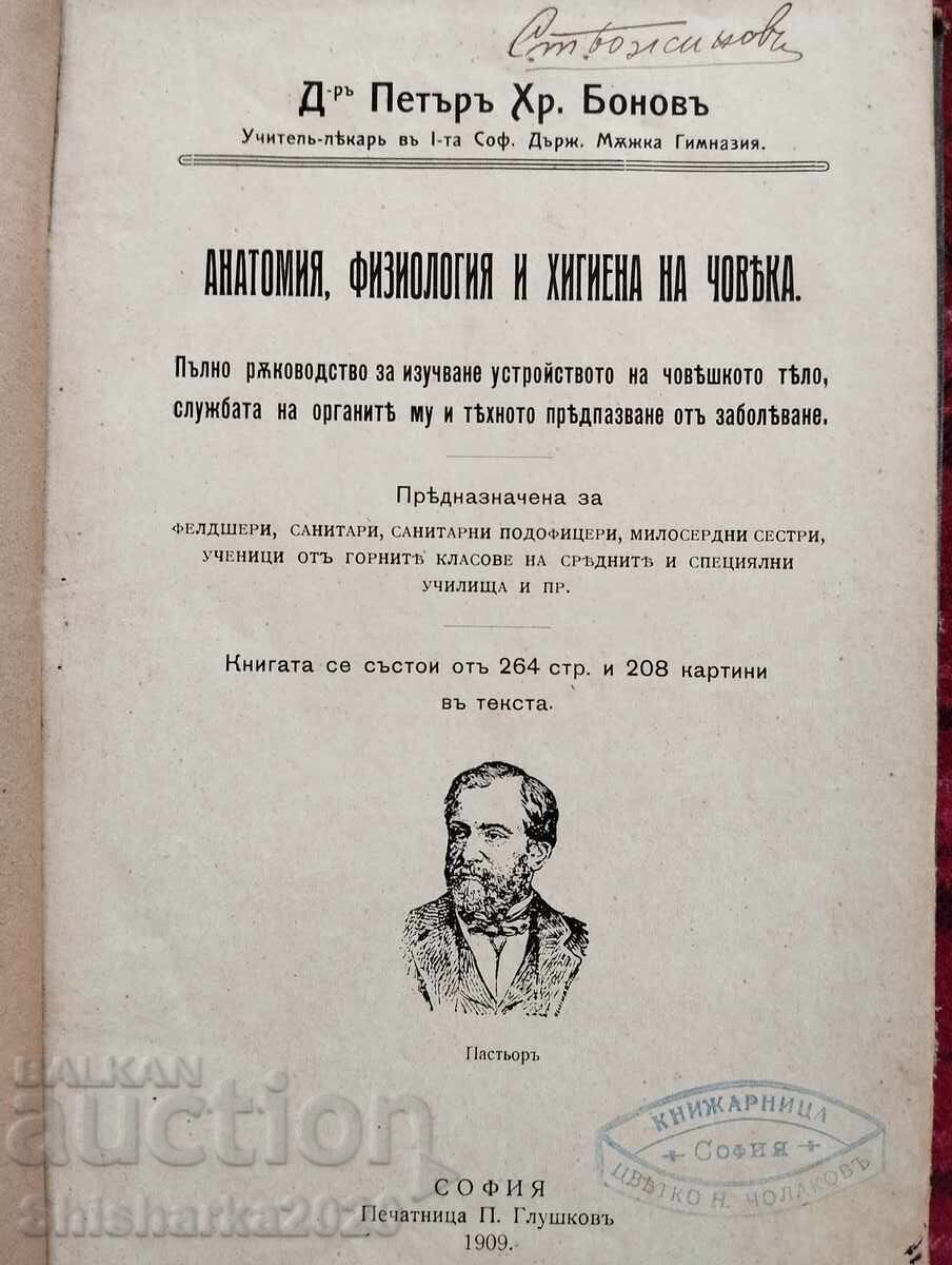 Human Anatomy, Physiology and Hygiene with price 130.00 BGN | € 66.47 Human Anatomy, Physiology and Hygiene with price 130.00 BGN | € 66.47