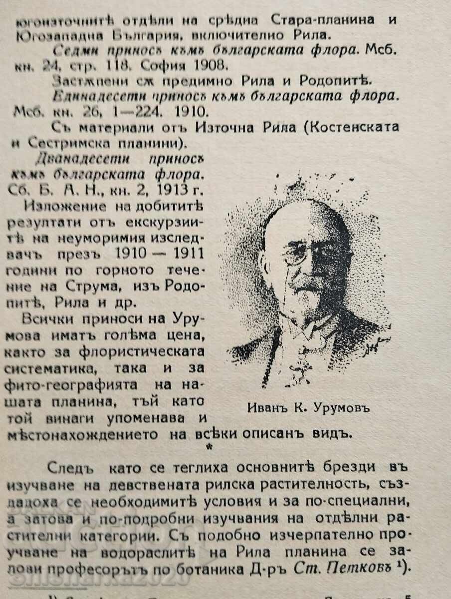 Rila with price 20.00 BGN | € 10.23 Rila with price 20.00 BGN | € 10.23