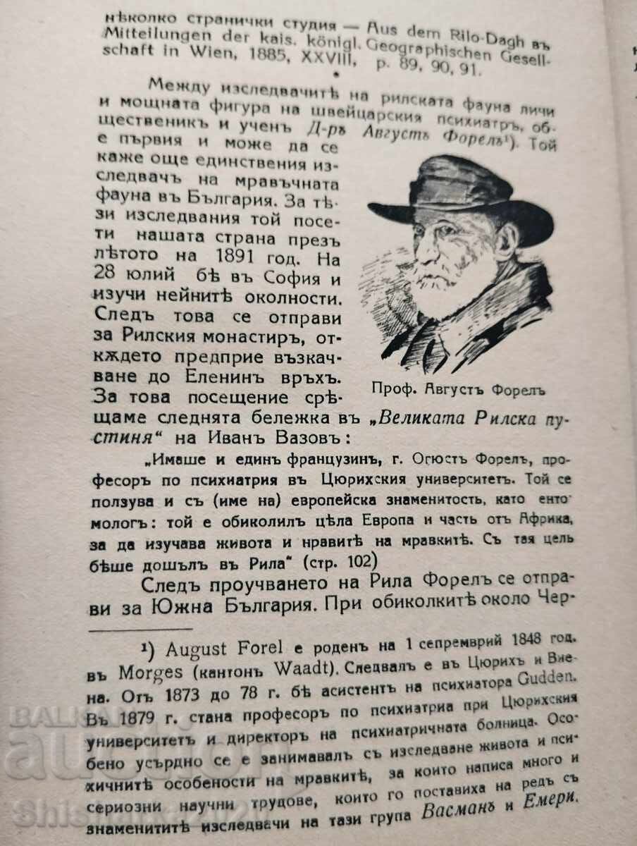 Auction Rila Auction Rila