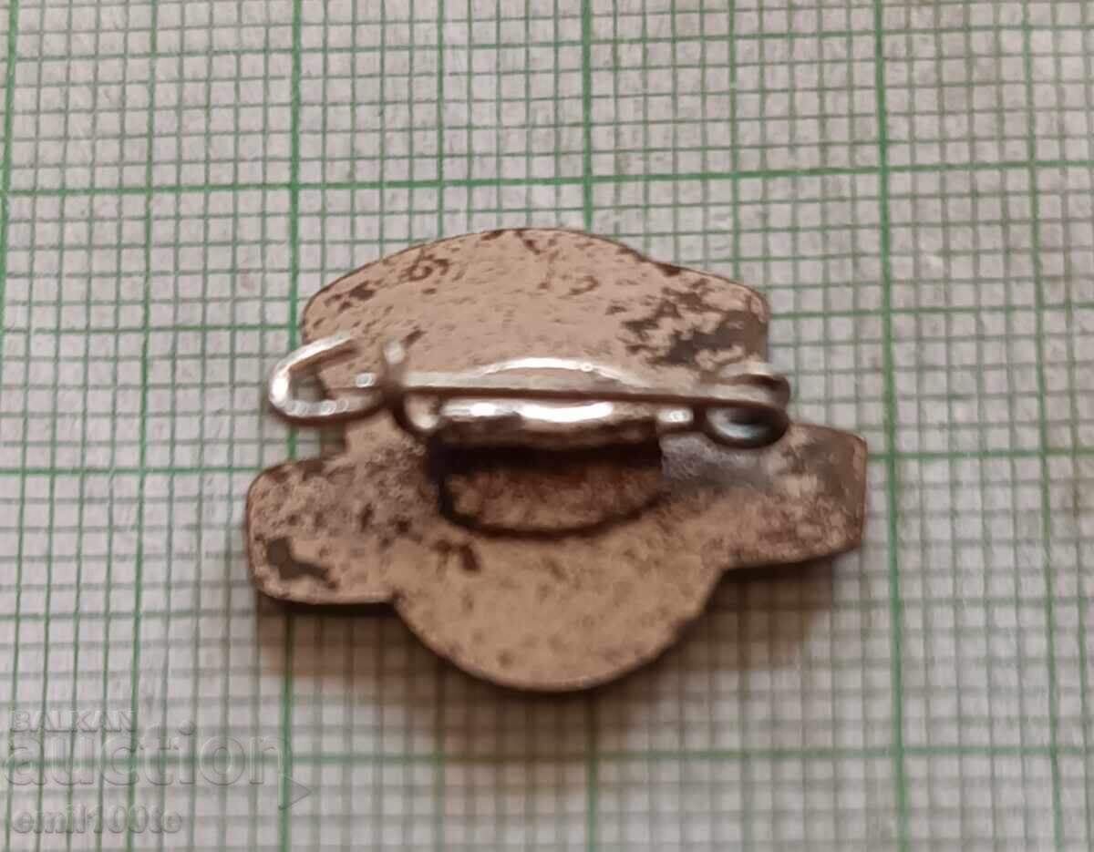 Delivery of Weltmeister Accordion - Badge Delivery of Weltmeister Accordion - Badge