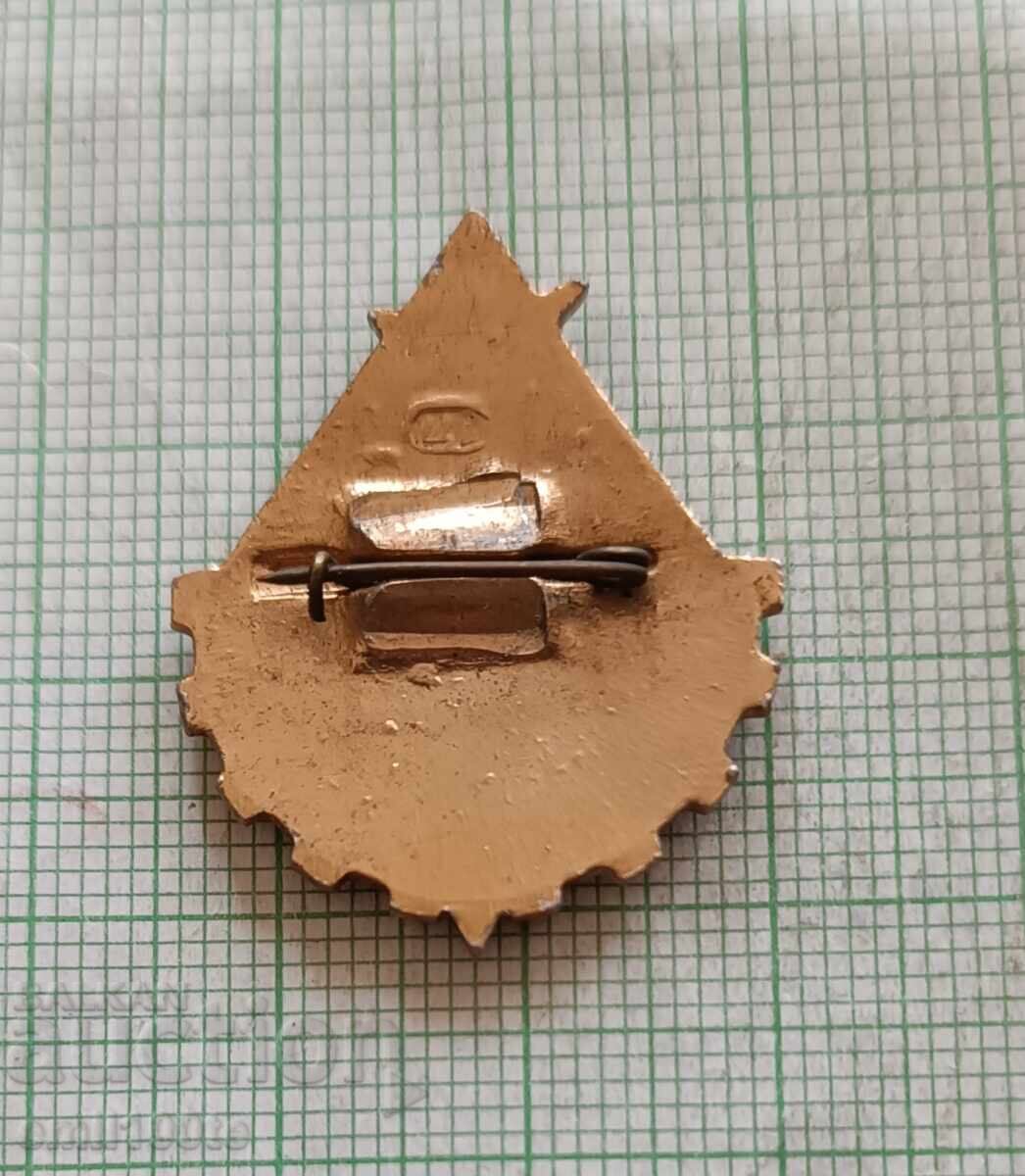 Badge - Junior Technician USSR - 7 Badge - Junior Technician USSR - 7