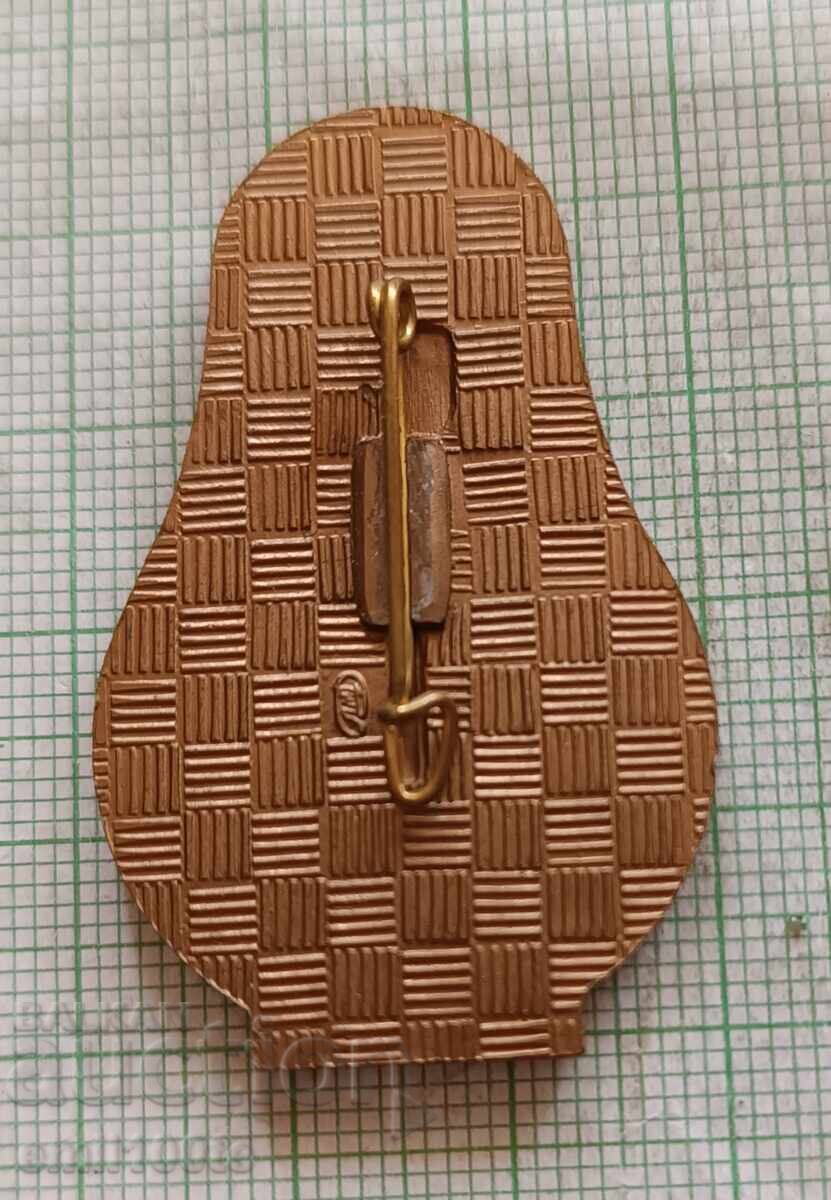 Delivery of Badge - CSIC Moscow 1971 International Association of Surgeons Delivery of Badge - CSIC Moscow 1971 International Association of Surgeons