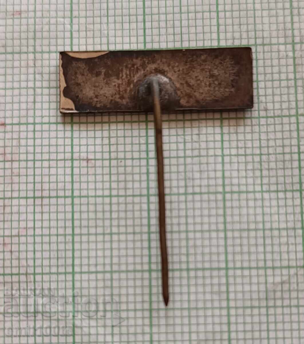 Badge - 11th Congress of DKMS - 5