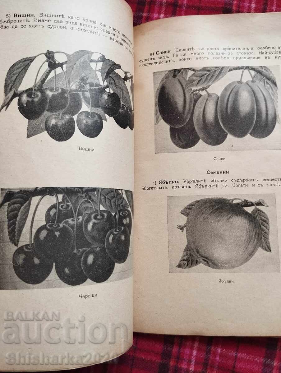 Delivery of Food, Nutrition and Cooking Delivery of Food, Nutrition and Cooking